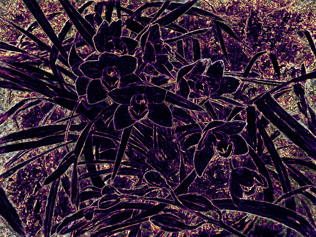 Orchids E_base result image.