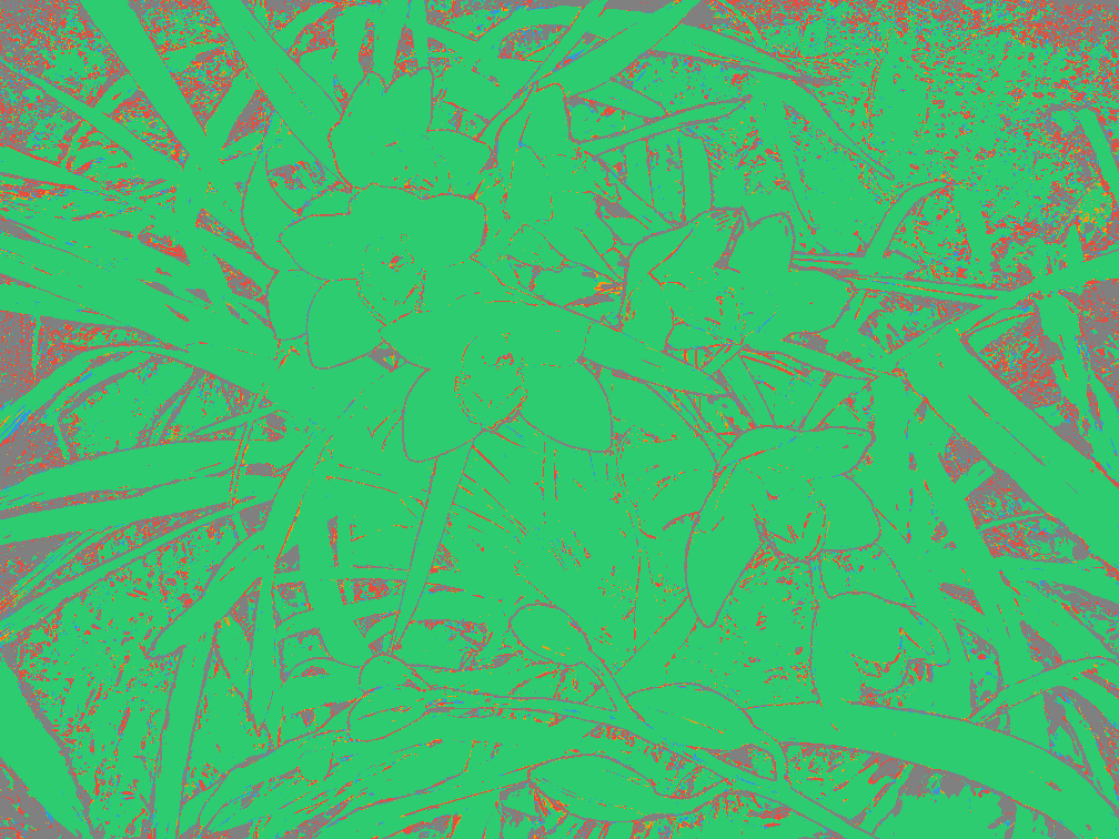 Orchids quadrant overlay result image.